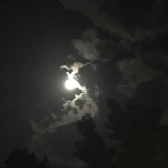 OFFERS WELCOME Meet your Posh Ambassador Teresa - Picture 3 of 5